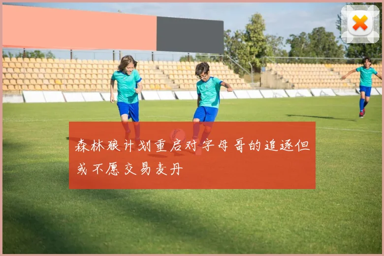 森林狼计划重启对字母哥的追逐但或不愿交易麦丹